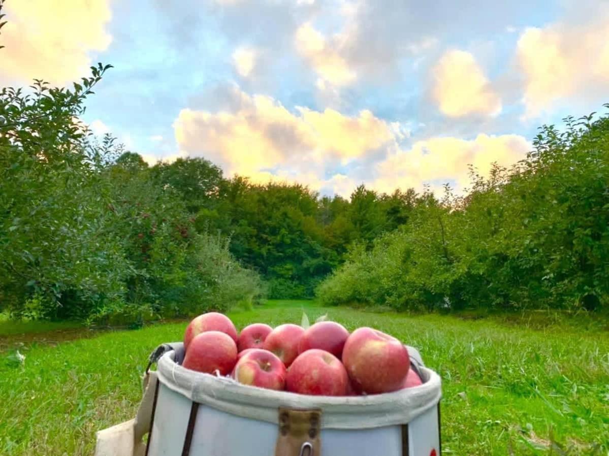 The Cortland Cottage At Brant'S Apple Orchard Ashtabula Kültér fotó