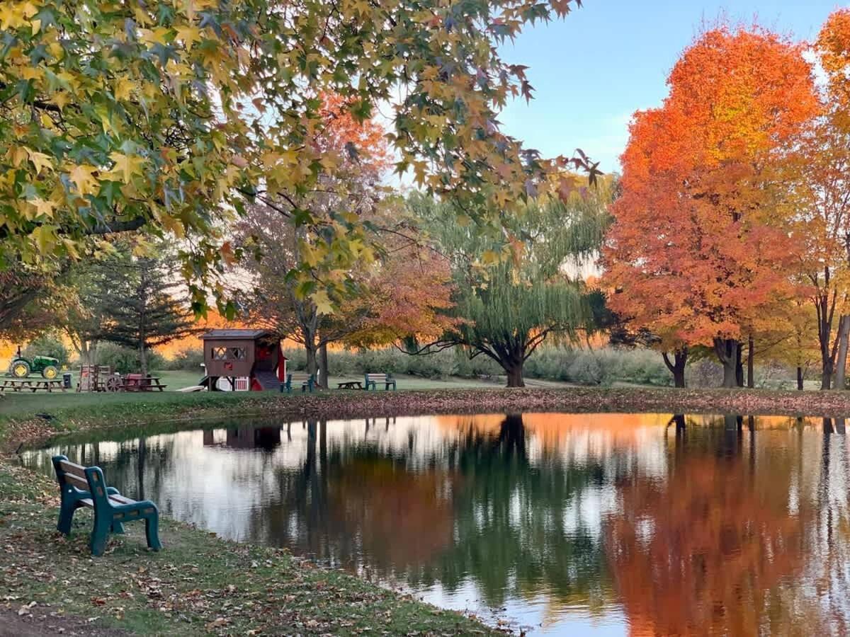 The Cortland Cottage At Brant'S Apple Orchard Ashtabula Kültér fotó